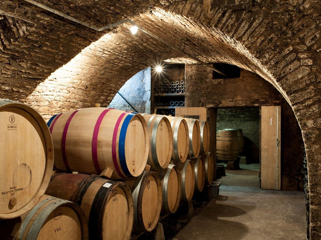 Domaine Chanzy景点图片