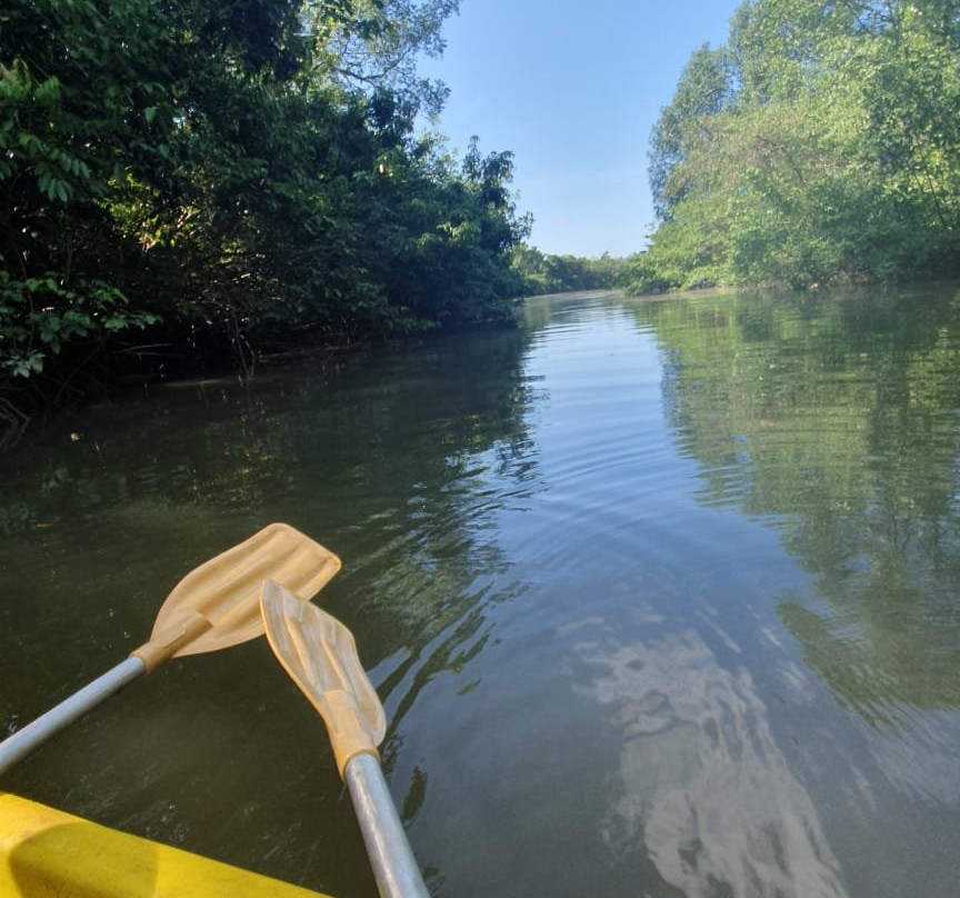 Paracauary Ecopousada主图