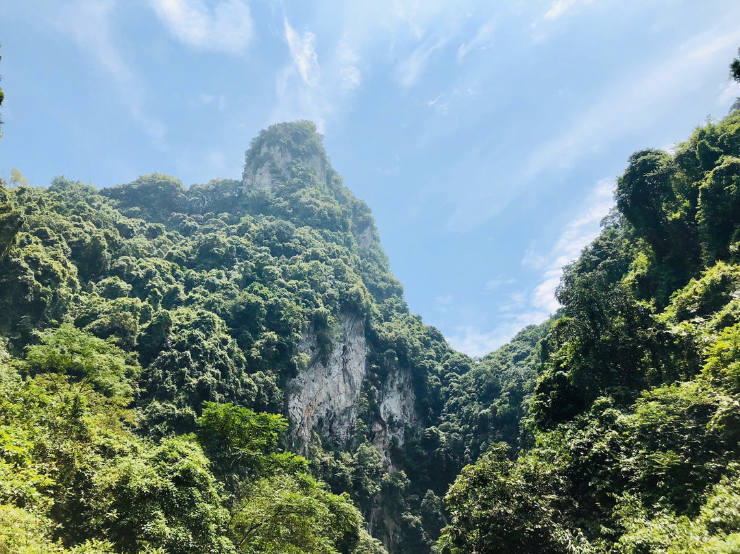 通灵大峡谷景点图片
