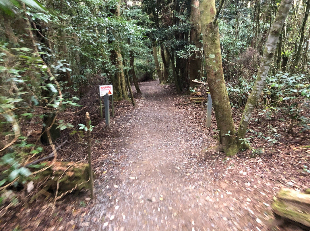 Tallanbana Picnic Area-春之泉必去景点