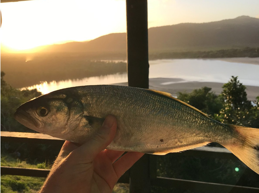 Wild Side Hiking-Port St Johns必去景点