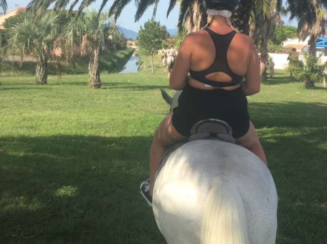 Le Cheval Andalou景点图片