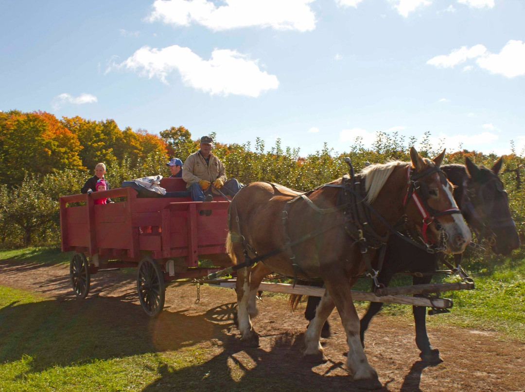 Knaebe's Mmmunchy Krunchy Apple Farm & Cider Mill景点图片