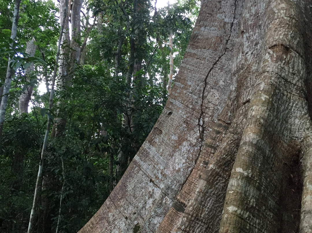 Floresta Nacional de Tapajos-Santarem必去景点