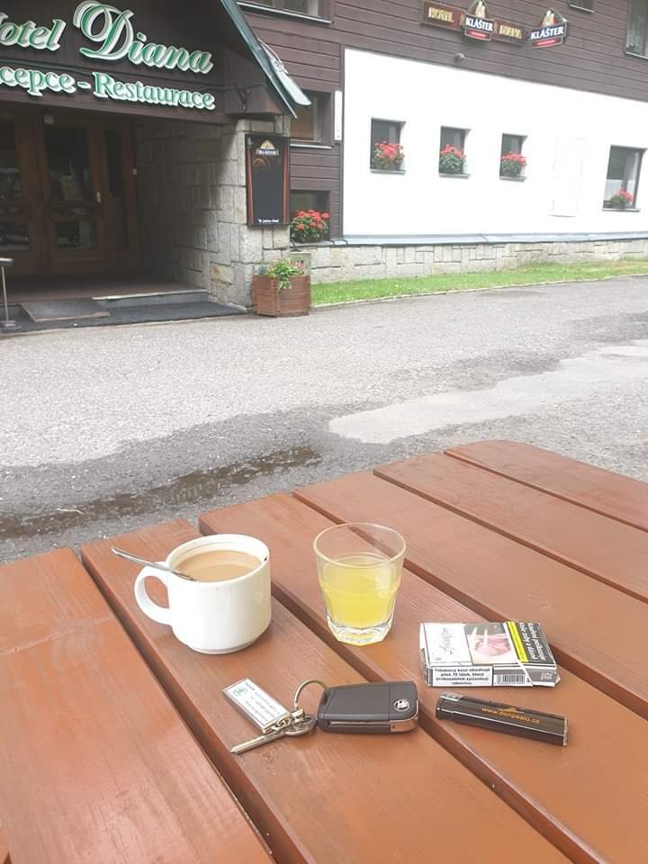 Hotel Diana-官方