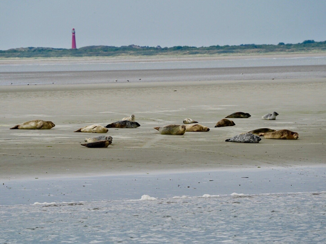 Nationaal Park Schiermonnikoog-Schiermonnikoog必去景点
