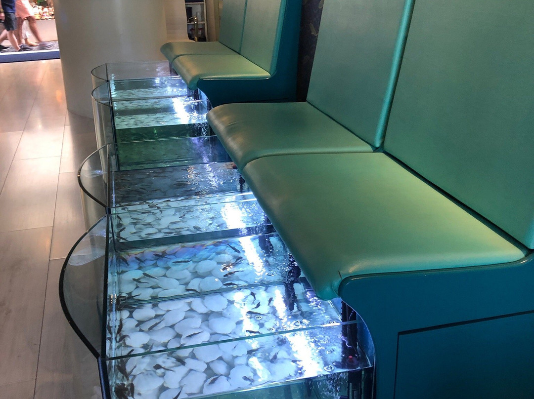 Kissingfish-费拉必去景点