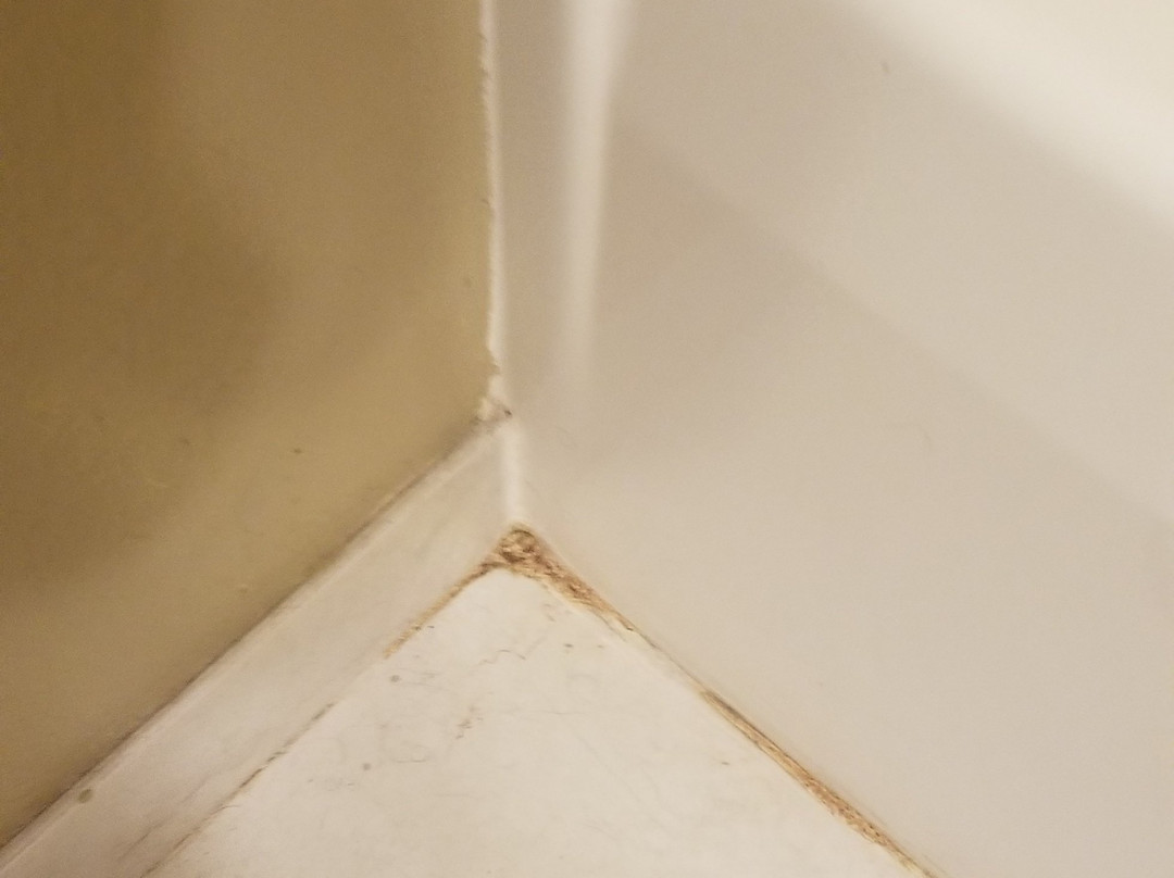 Super 8 by Wyndham Seville主图