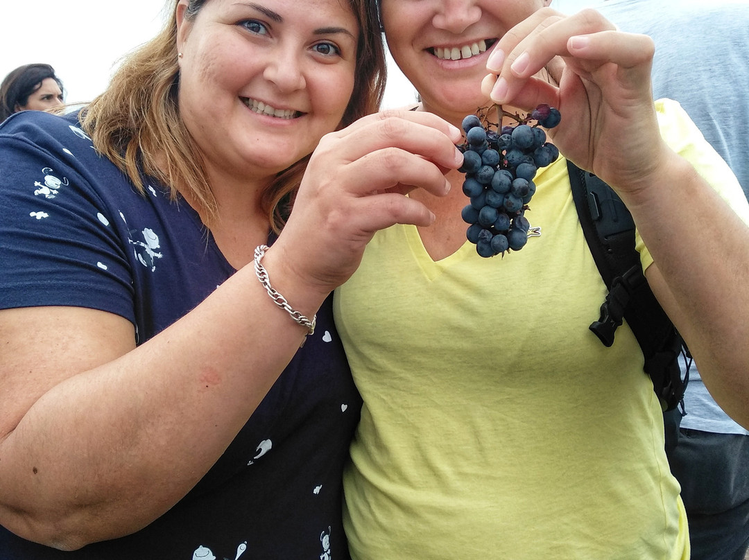 Calamuchita Valley-贝尔格拉诺将军区必去景点