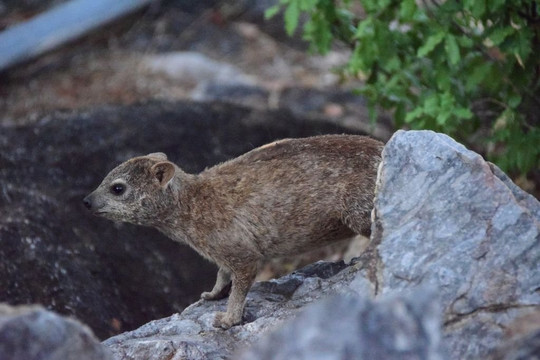 Sophienhof Lodge主图