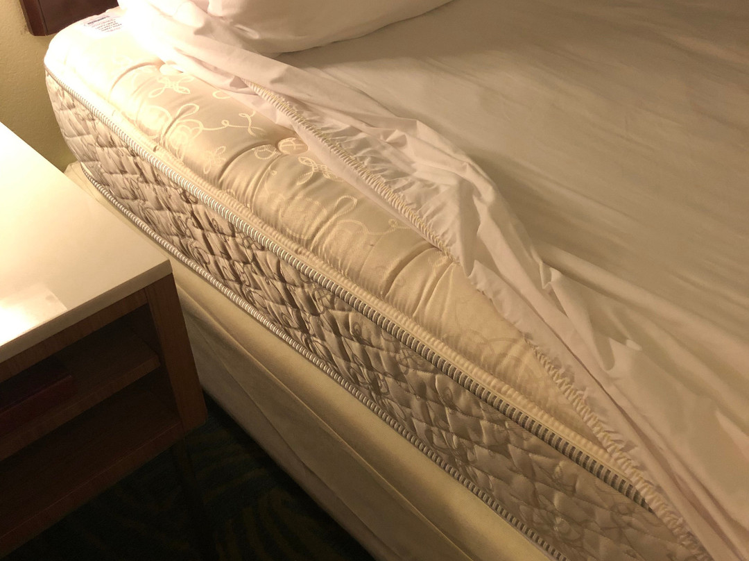 SpringHill Suites by Marriott West Mifflin主图