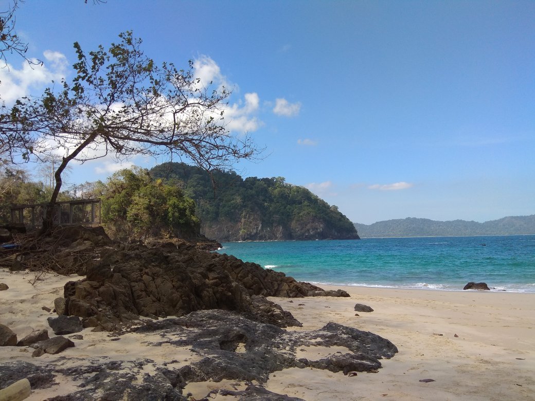 Java Turtle Homestay-官方