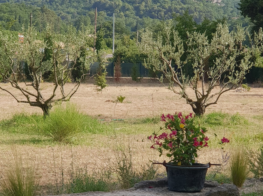 La Cigalière主图