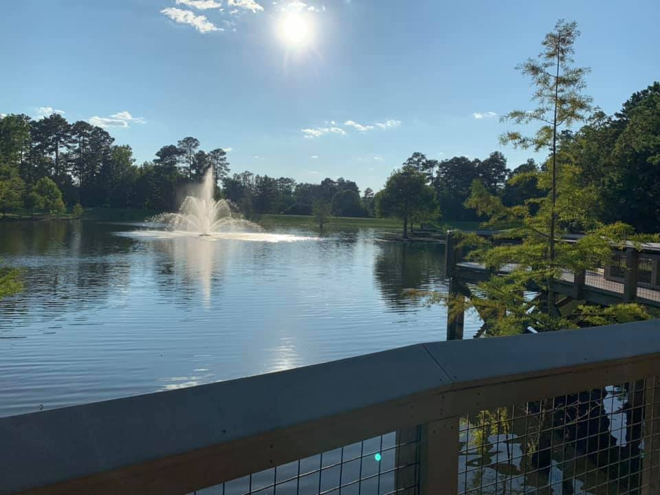 Flowood Nature Park景点图片