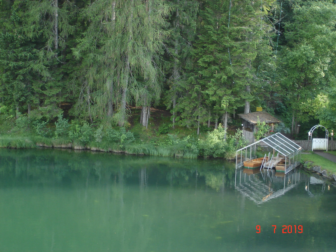 Parkhotel Tristachersee主图