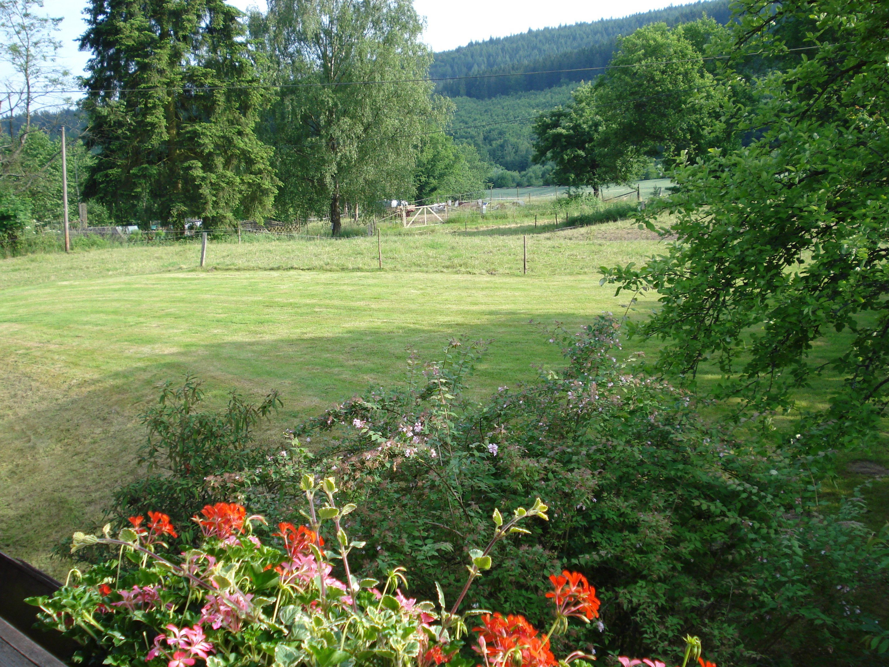 Gasthof Ohrnbachtal-酒店景观