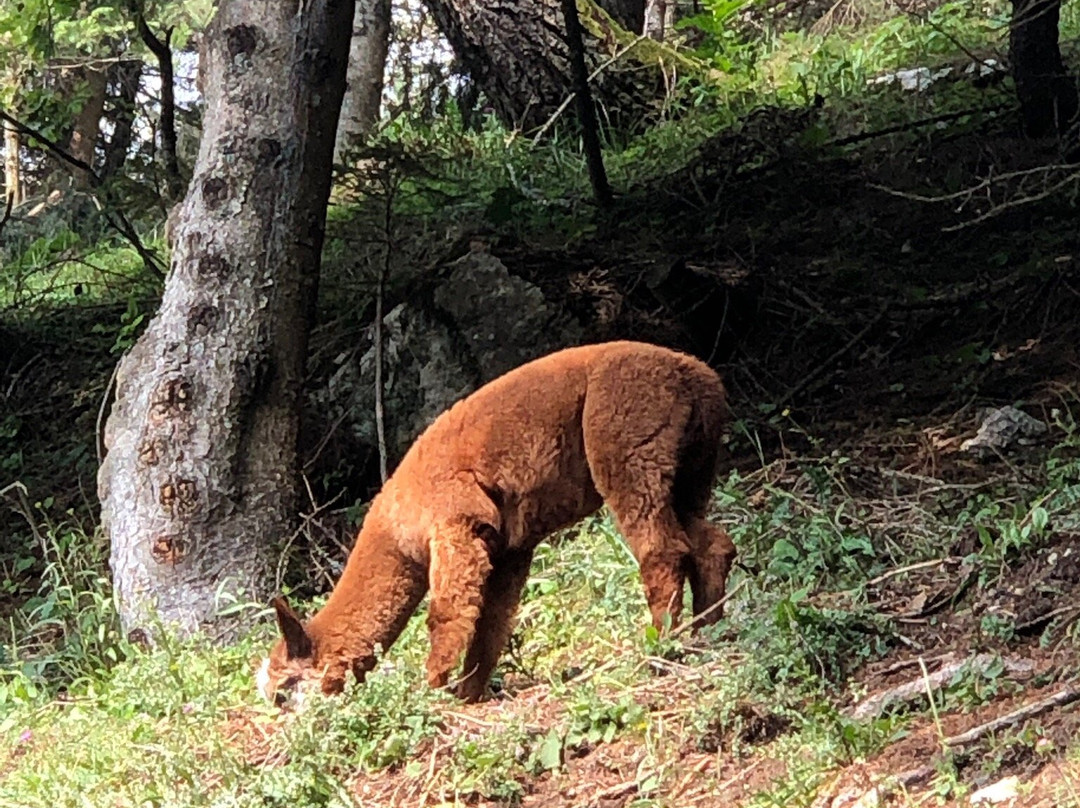 Becco Di Filadonna-Vattaro必去景点