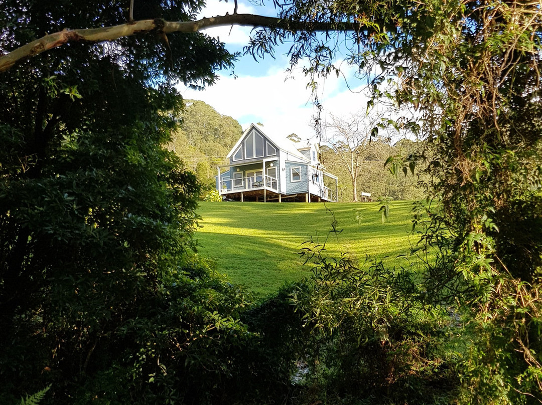 The Drawing Rooms of Berry主图