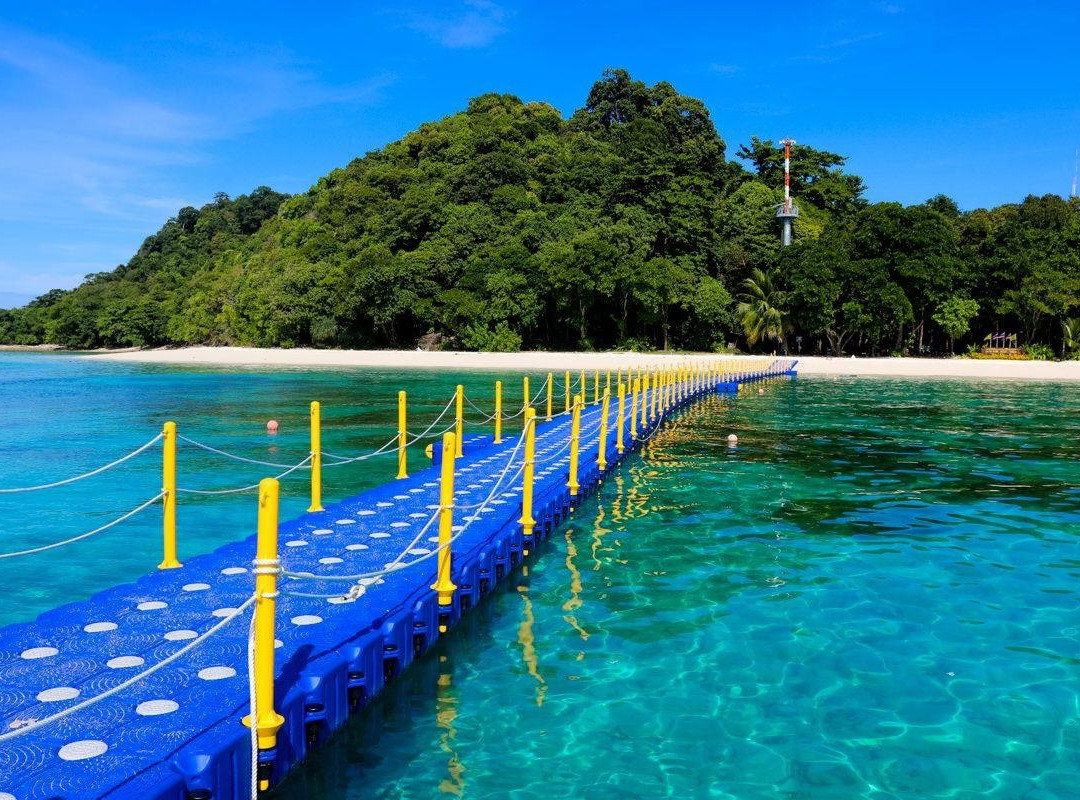 Sea Life Lanta Tours-兰塔岛必去景点