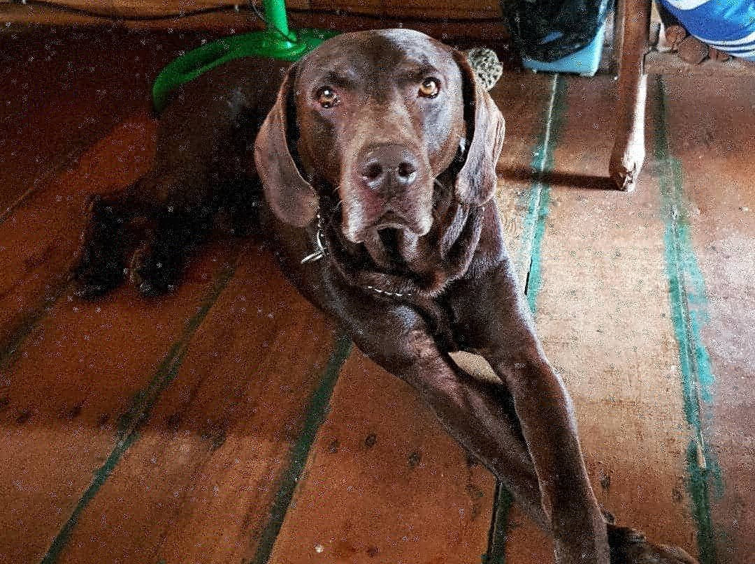 La Casa de Diego主图