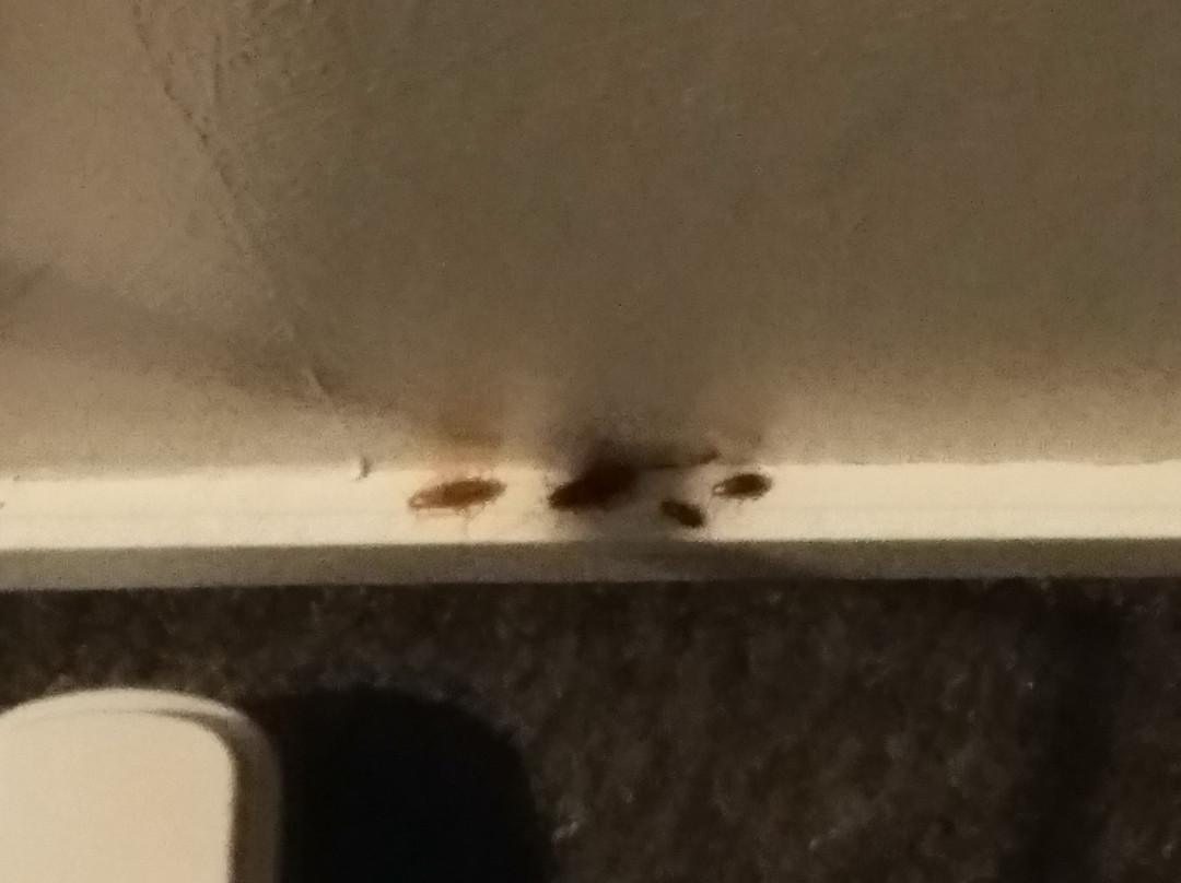 Fairmont Motor Lodge主图