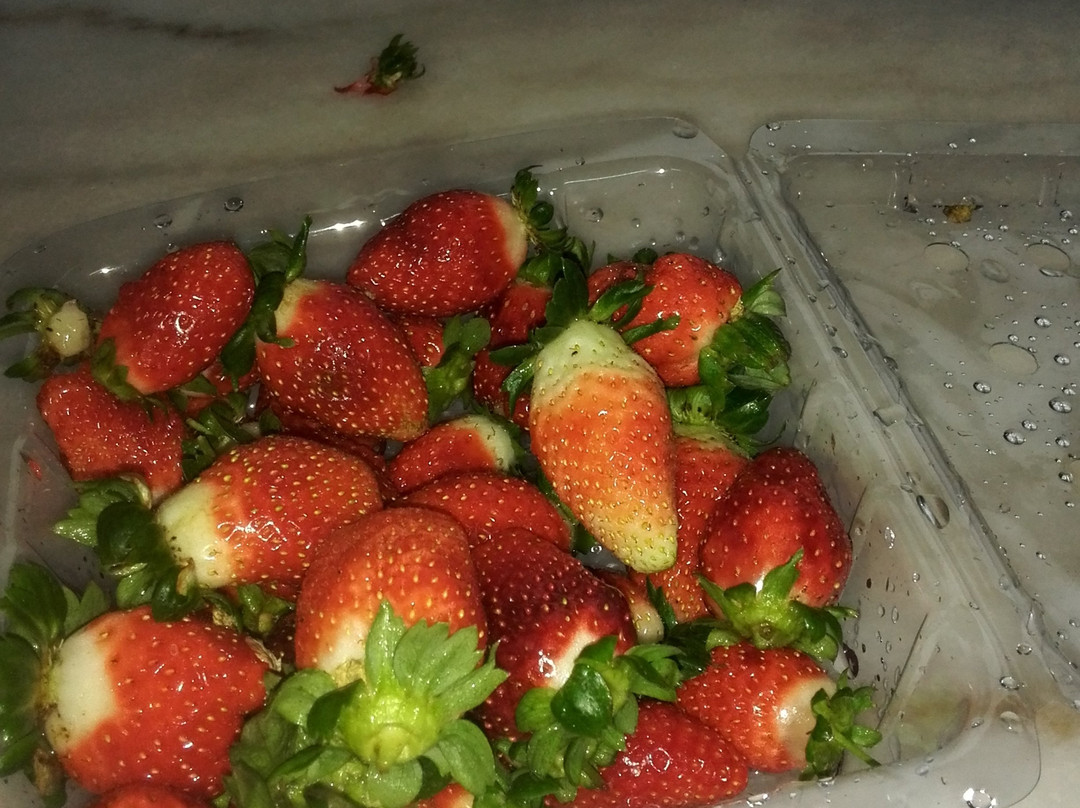 Healthy Strawberry Farm-丹那拉塔必去景点