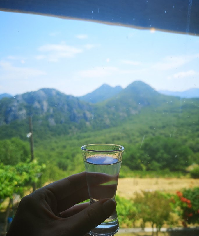 Vinarija Kopitovic-维尔巴札拉必去景点