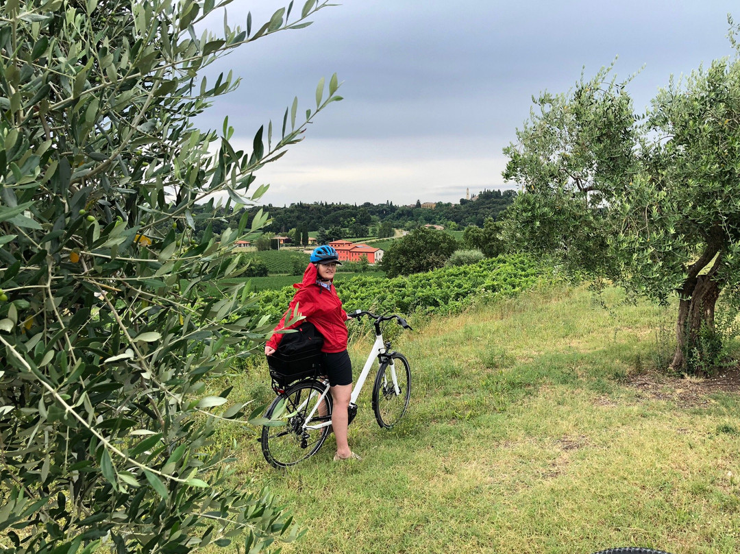 Bella Bici - Bike & Vespa Rental景点图片
