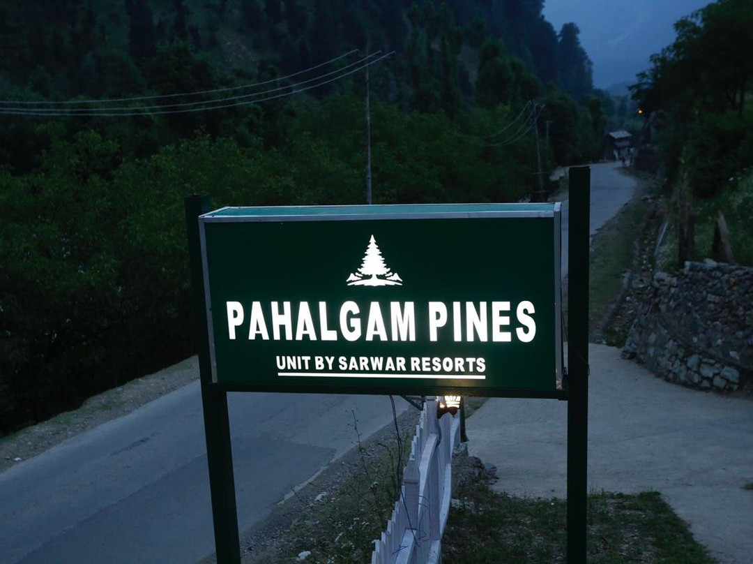 The Pahalgam Pines