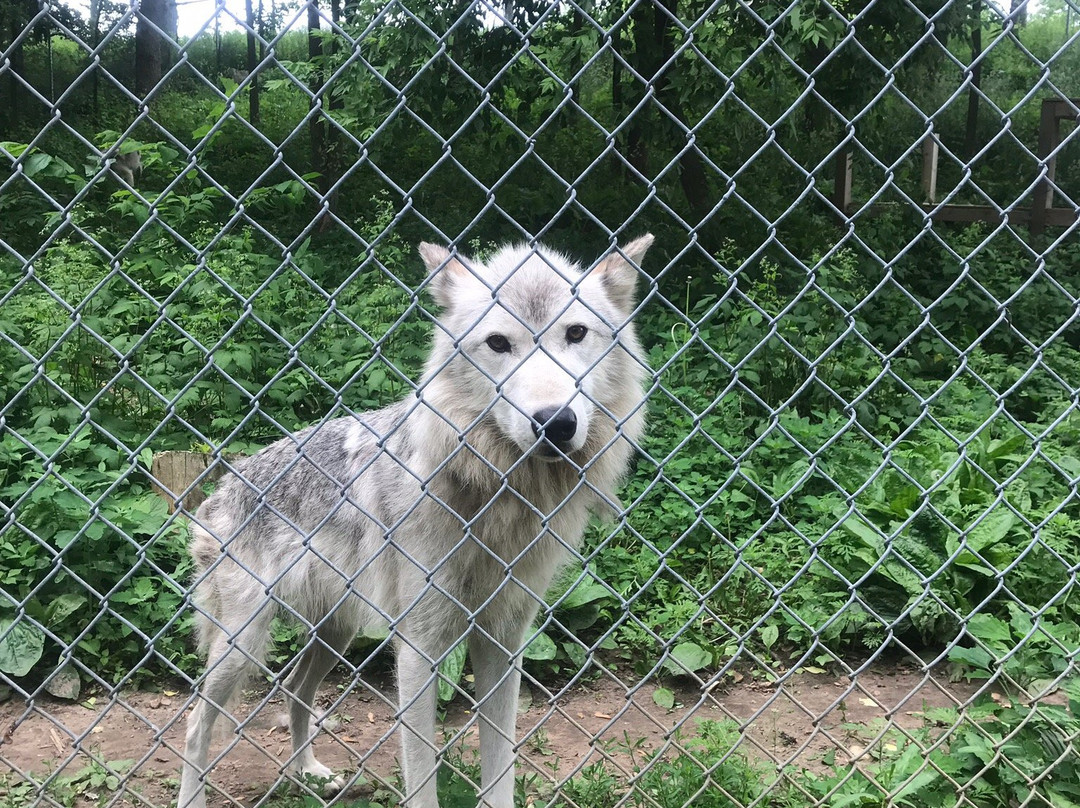 MacKenzie Center-Poynette必去景点