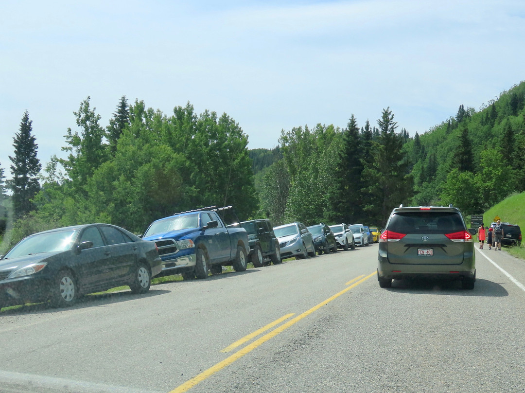 Big Hill Springs Provincial Park-科克伦必去景点