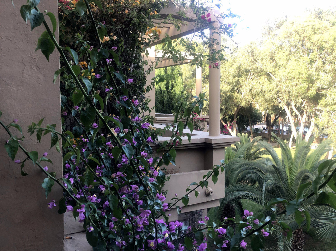 Africa Jade Thalasso Hôtel Korba主图