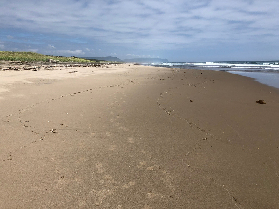 Sarugamori Sand Dunes景点图片