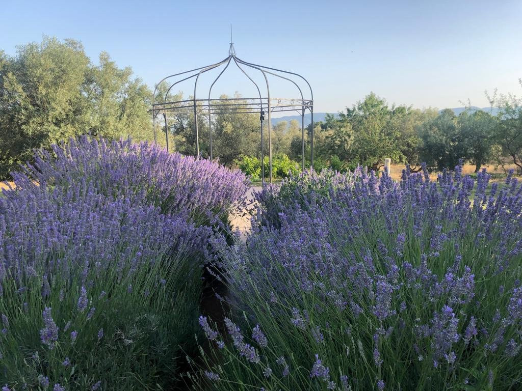 La Fuente Retreat Center主图