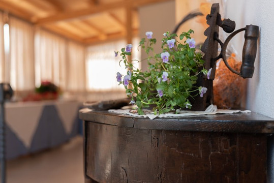 Agriturismo Tenuta Sparaceto主图