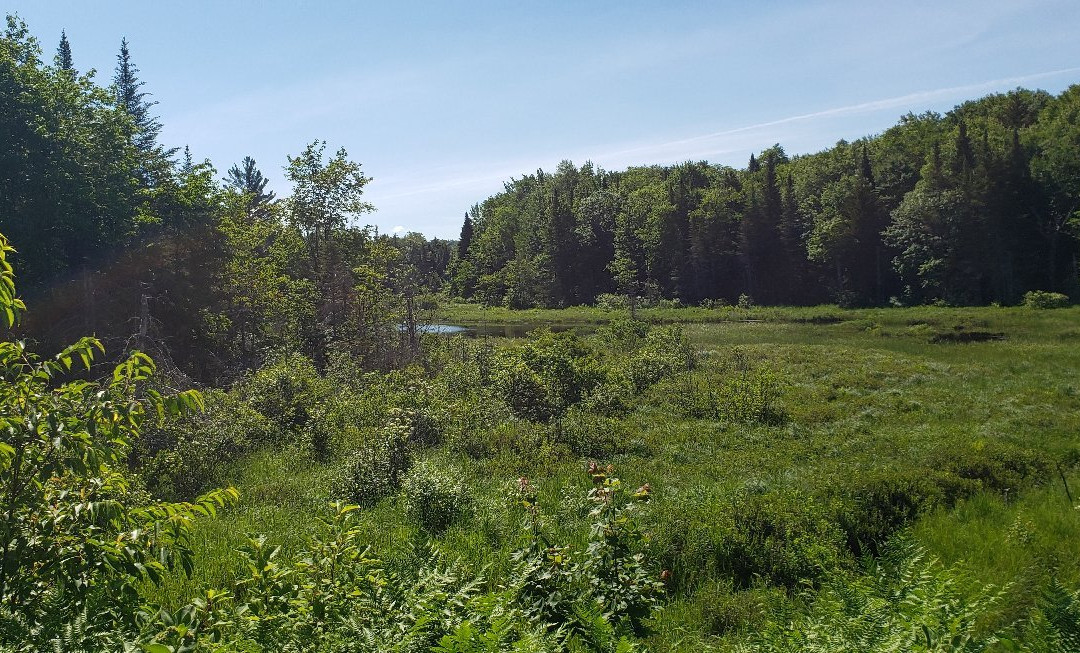 Adirondack Scenic Railroad景点图片