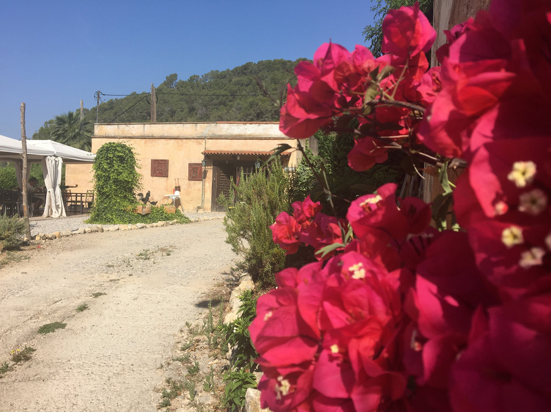 Masia Sumidors主图