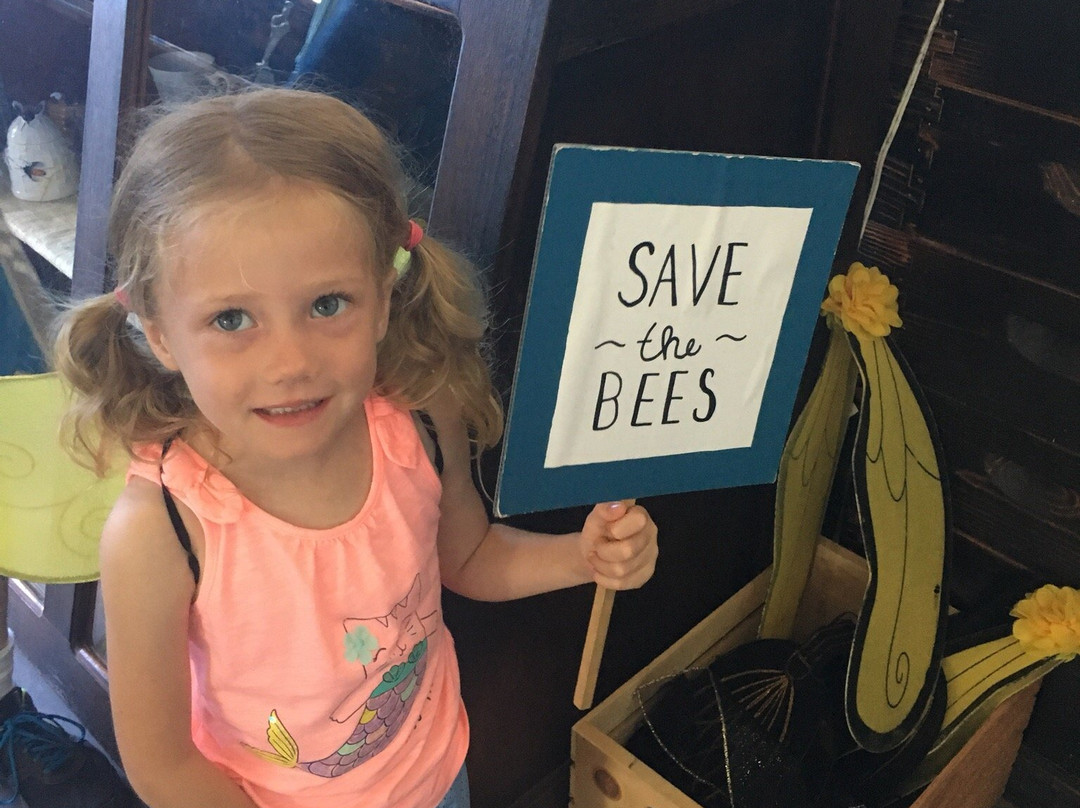 Big Island Bees-库克船长必去景点