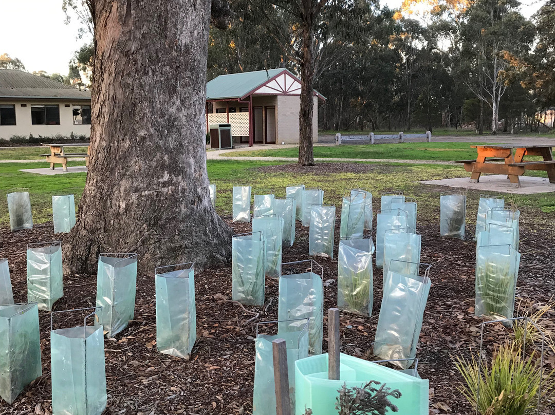 Glengarry Park-Glengarry必去景点