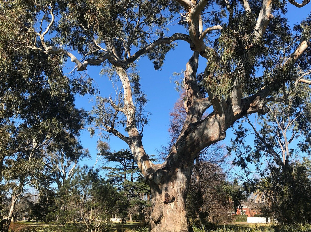 Victoria Park-塞尔必去景点