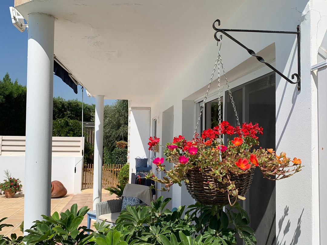 Villa Elia Bed and Breakfast主图