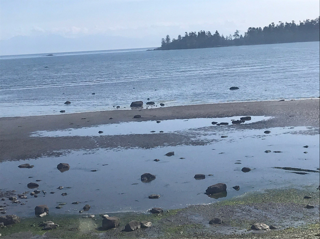 Friday Harbor Jolly Trolley-星期五港湾必去景点