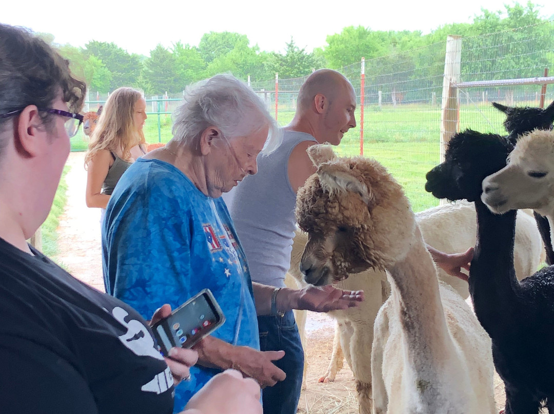 Manna Meadows Alpacas-Bonner Springs必去景点