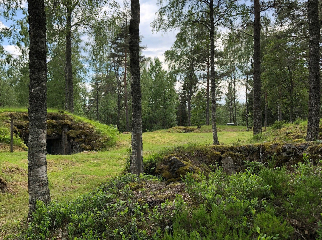 Sjöänd Skans / Fort 118-Arjang必去景点