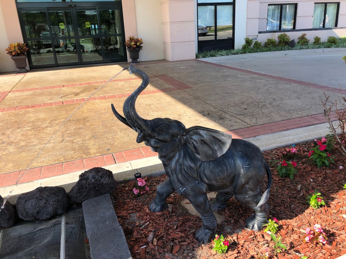 La Quinta Inn & Suites By Wyndham Tulsa Midtown-浴室