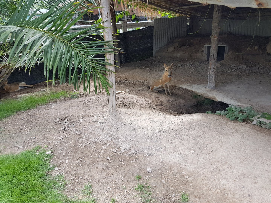 Malai Farm at Cha Am景点图片
