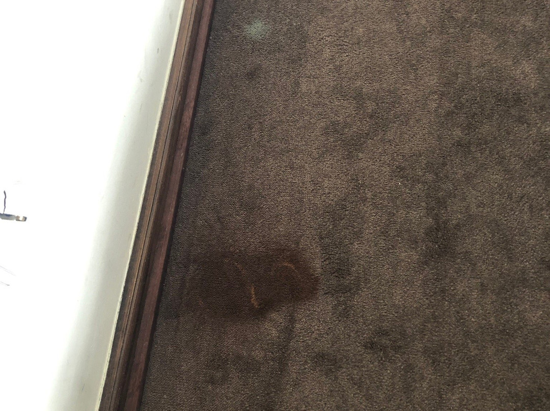 Hotel da Penha主图