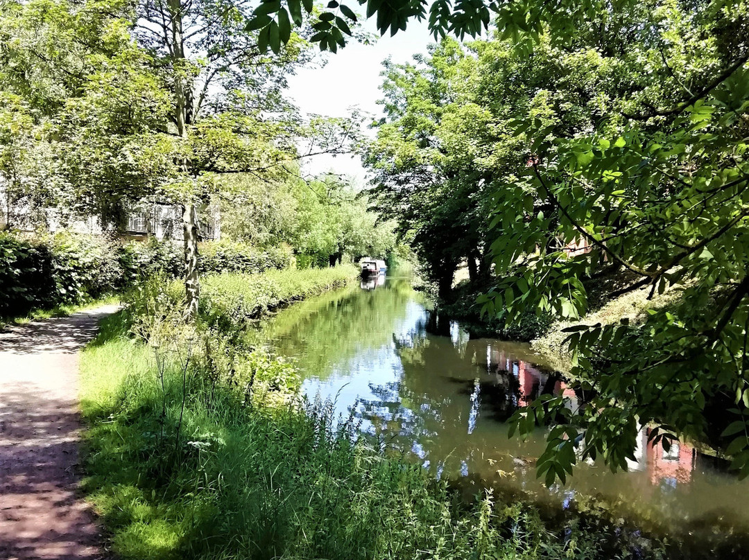 The River Stort景点图片