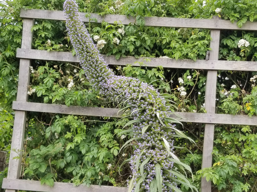 Longueville House Hotel主图