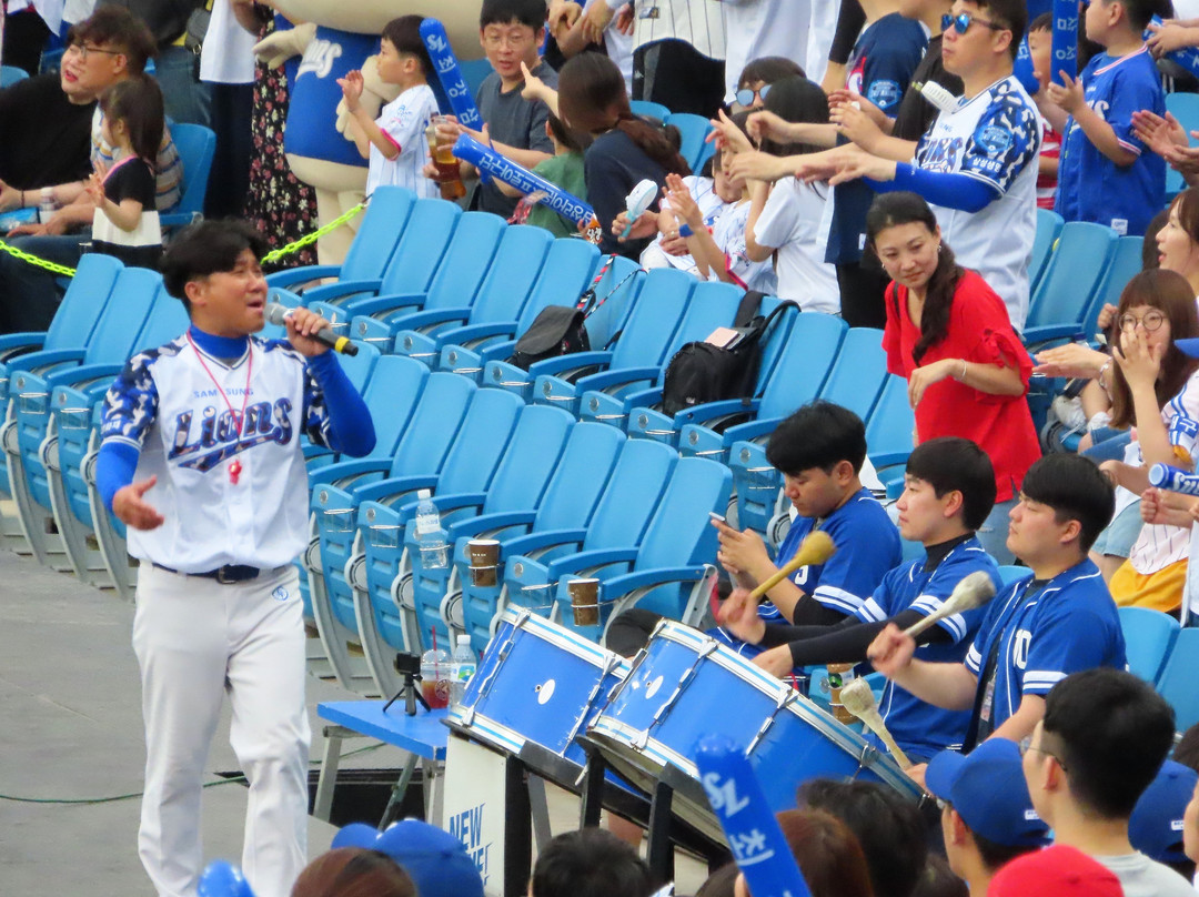 Daegu Samsung Lions Park-大邱必去景点